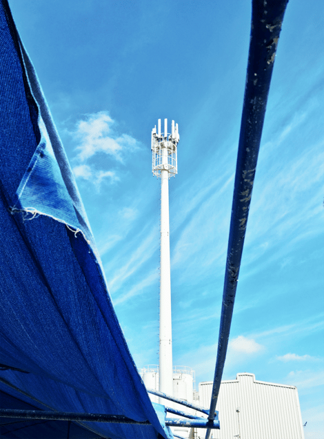 Freedom and Guilt, XVI