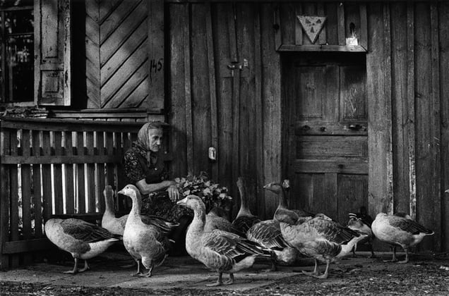 Elena, contaminated lands, evacuated village, Bartolomeevka, Gomel (Belarus) © Pierpaolo Mittica