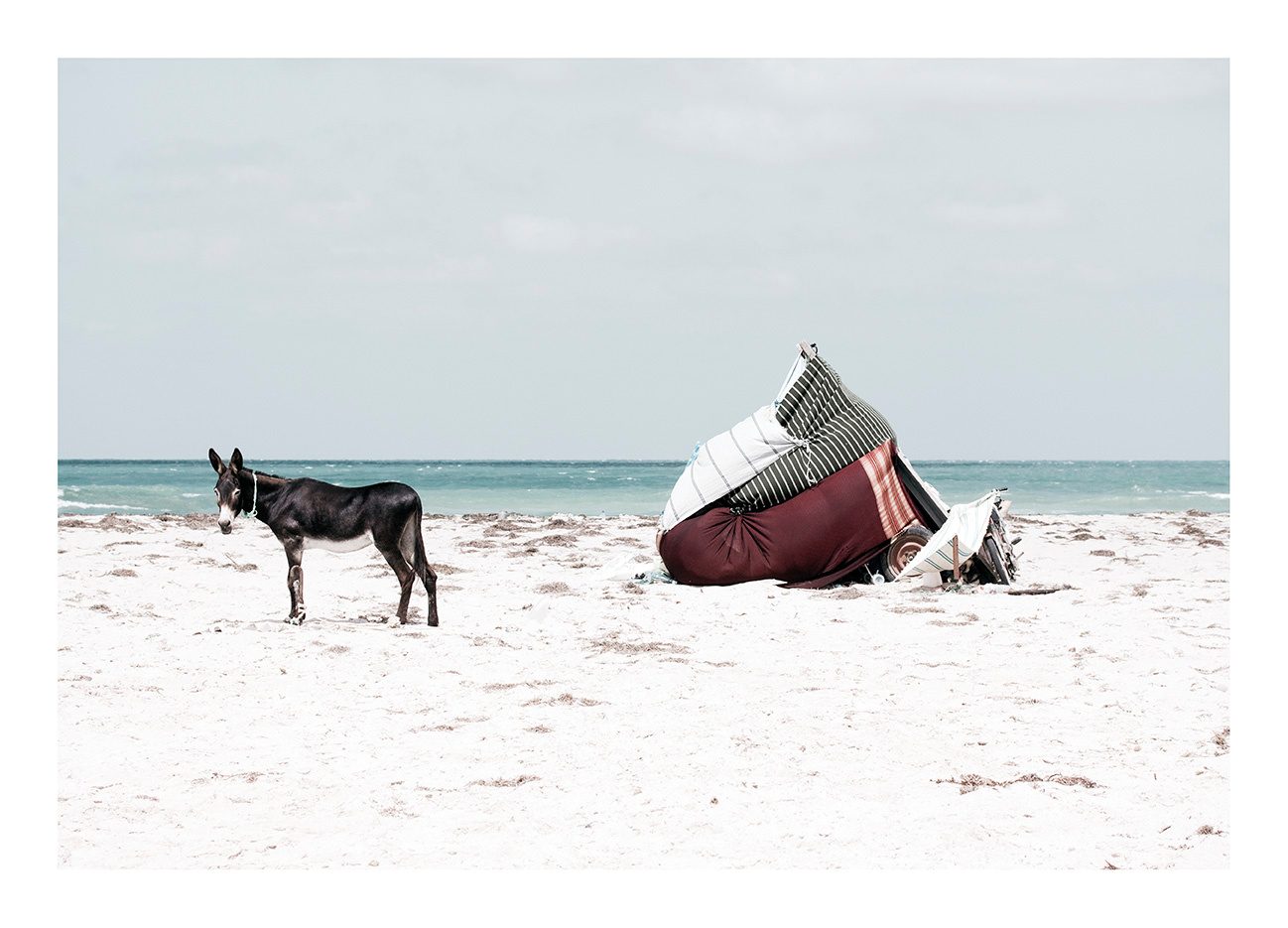 Nomad's Land