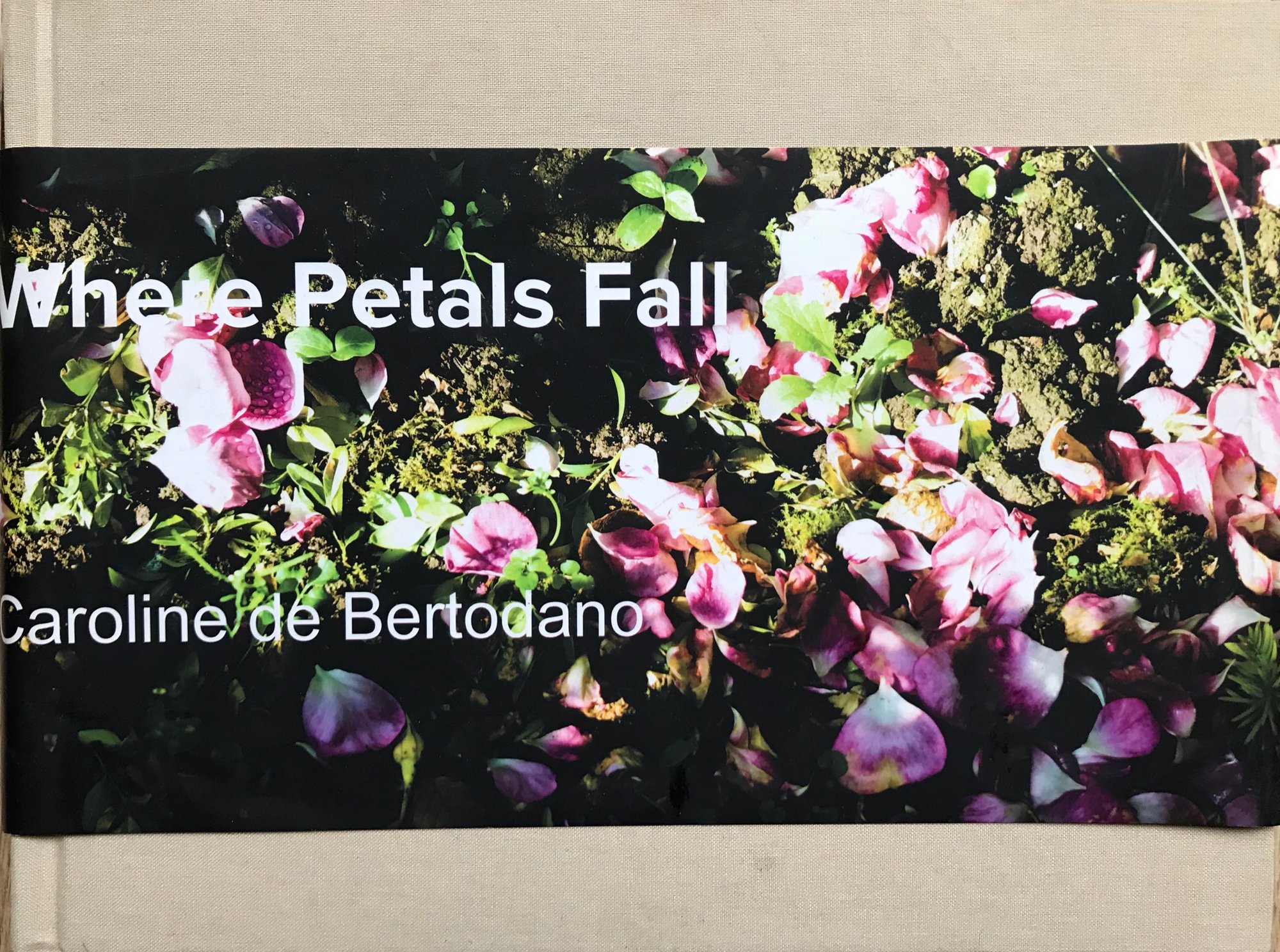 Where Petals Fall - Consequence 2015