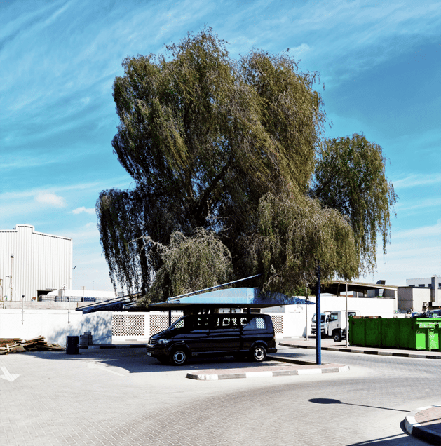 Freedom and Guilt XVII