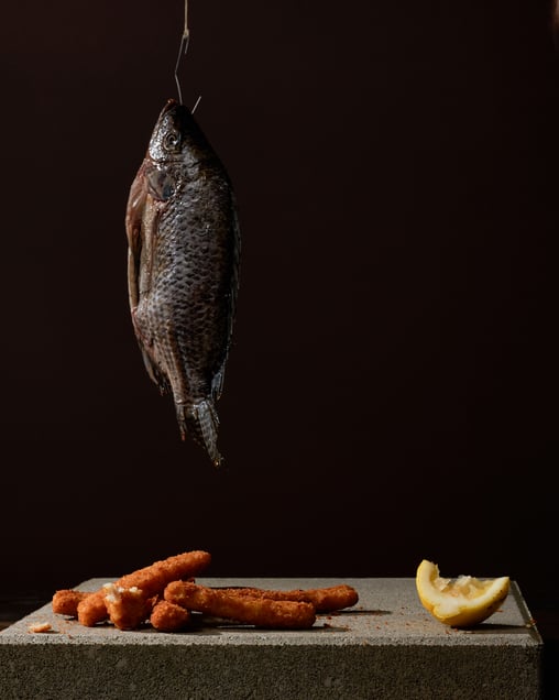 American Bodegónes Fish Sticks