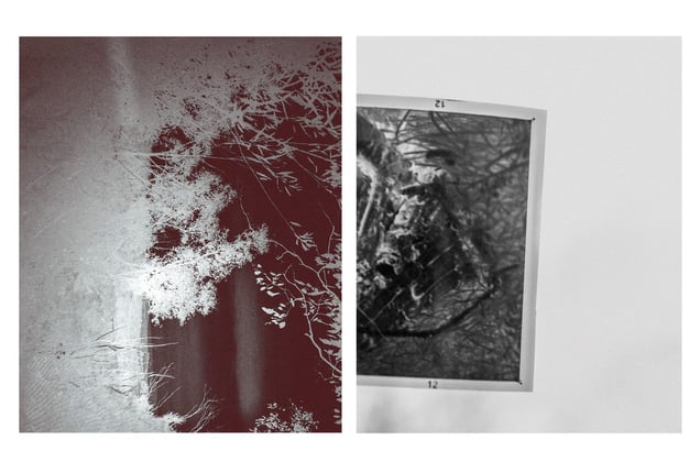 Object impermanence #1
