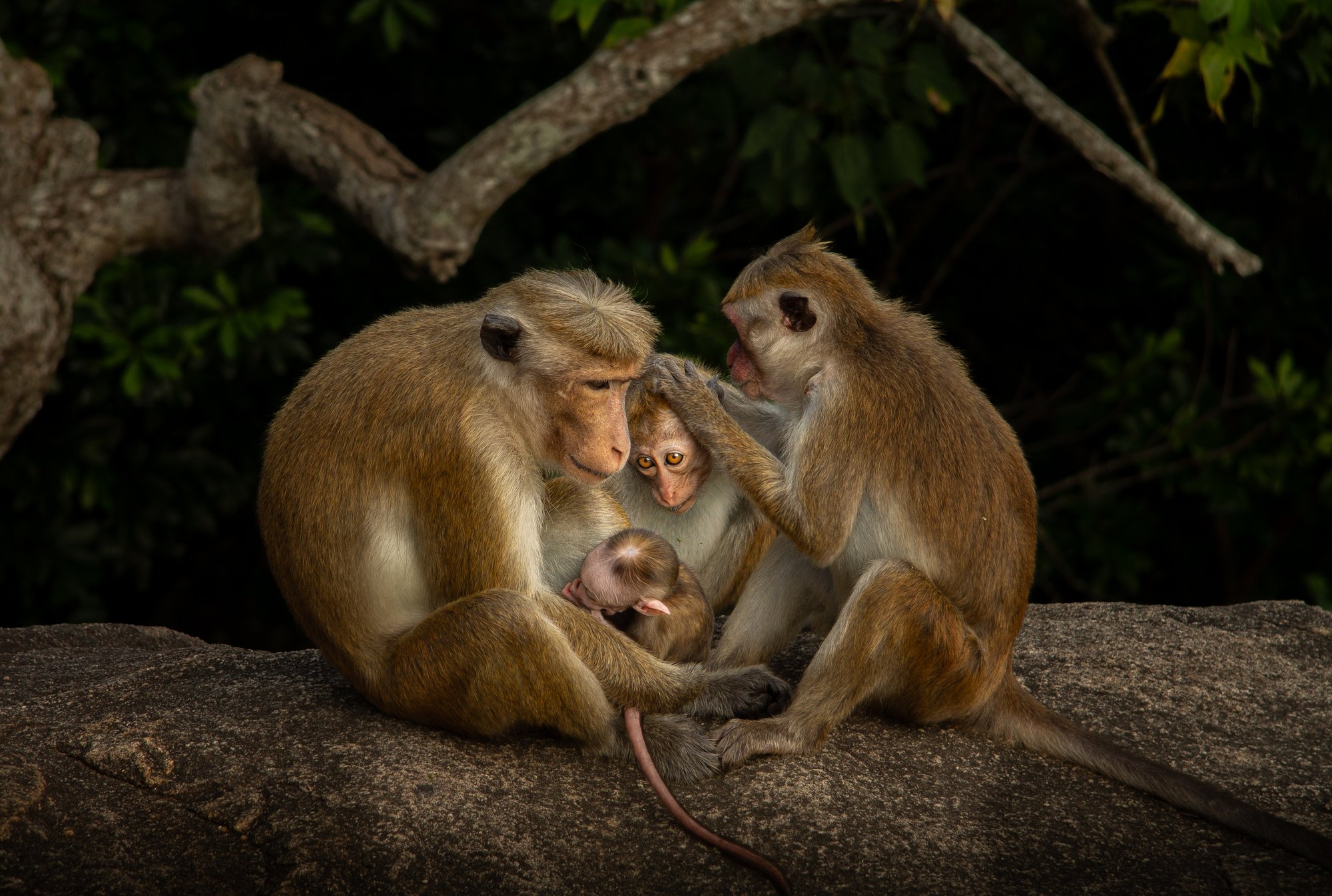 LensCulture Critics' Choice Award Winners for 2026 – Photo Competitions