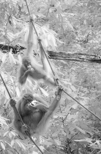 lunch on a shoestring © Darren Nisbett