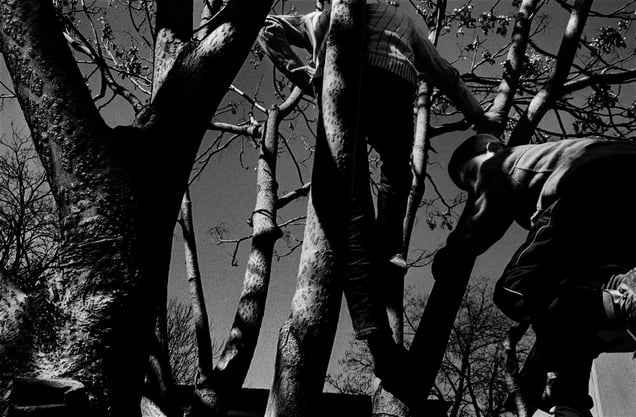 Mobile Mini Circus for Children