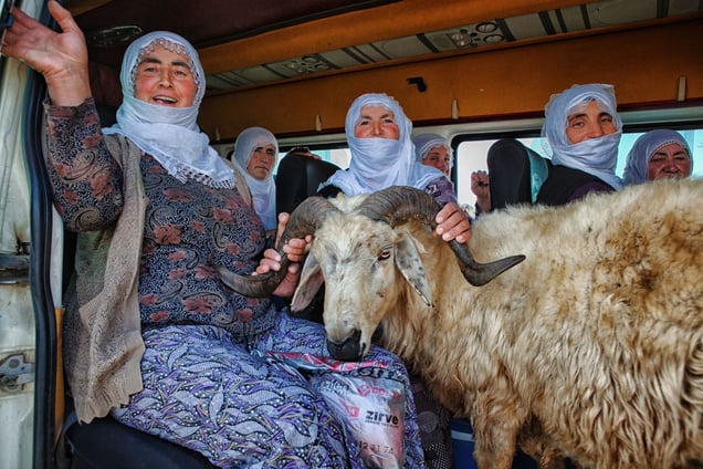 The Women and the Ram.