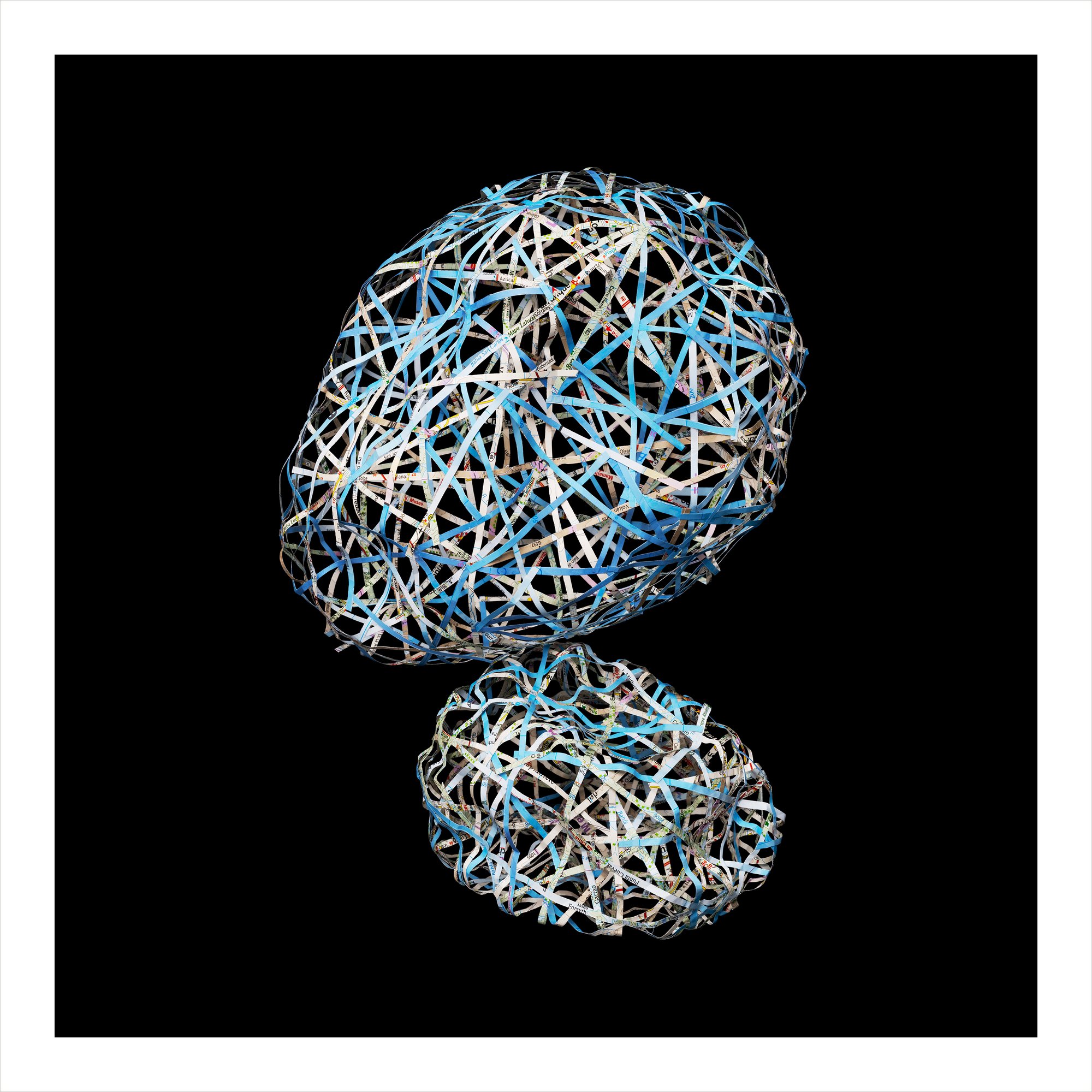 winner of photography awards