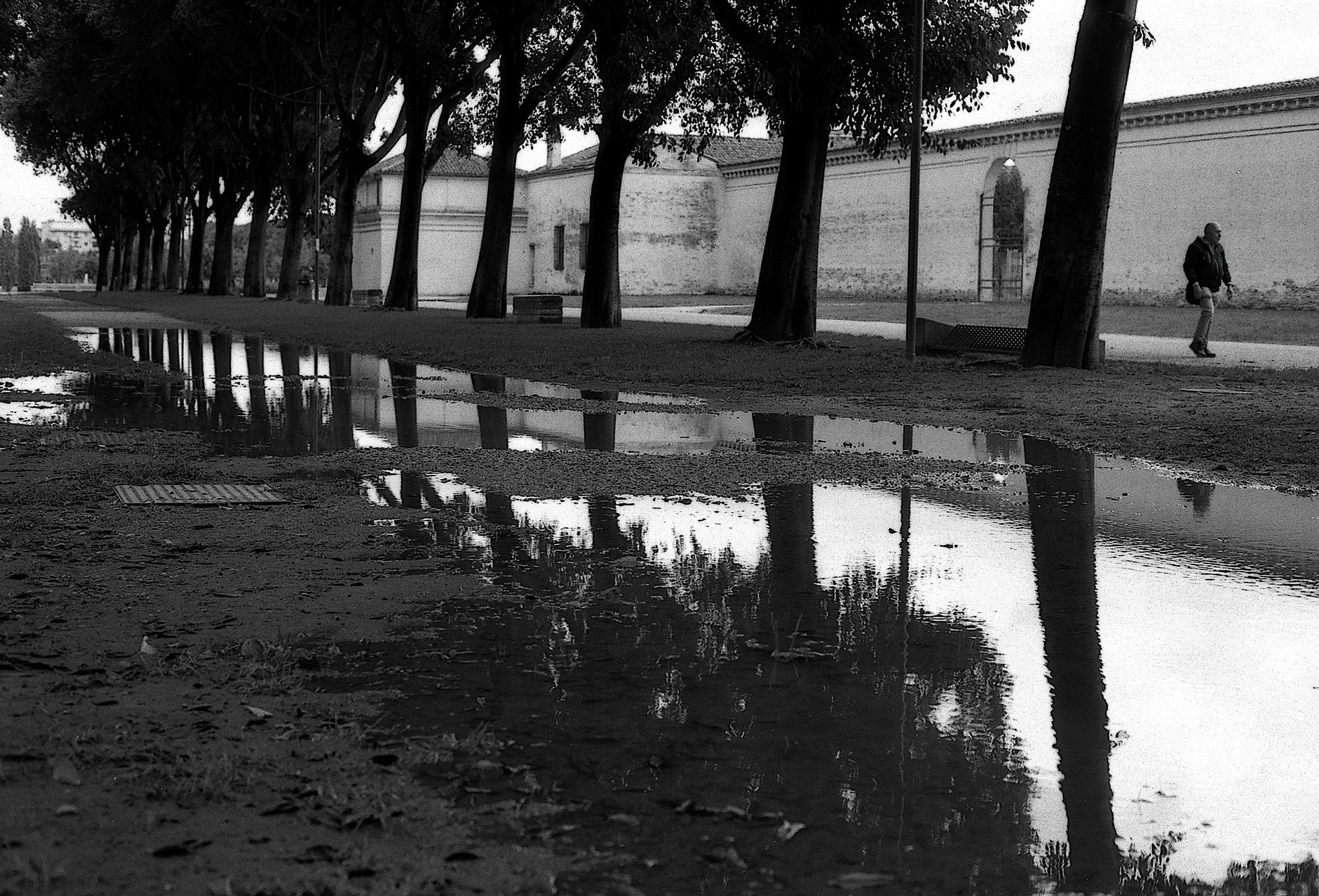 Mantova