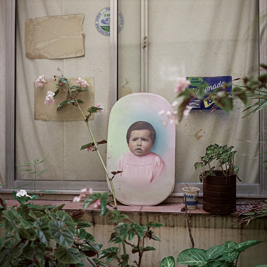 “Photo Paintings”