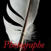 Jean-Marie Plume