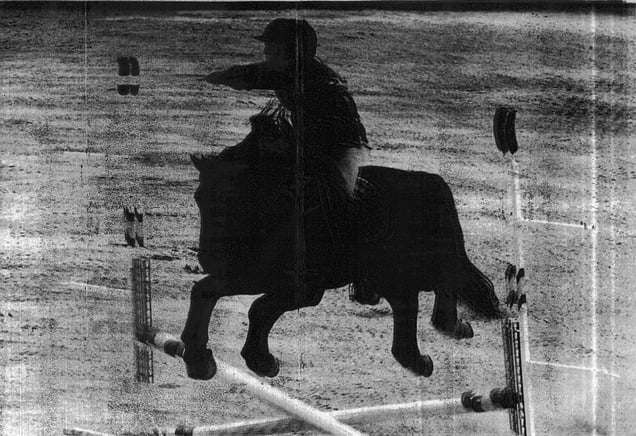 TAUROMAQUIA. Spain, 2013