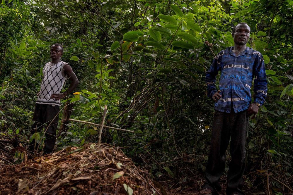 Ebola in Sierra Leone and Liberia