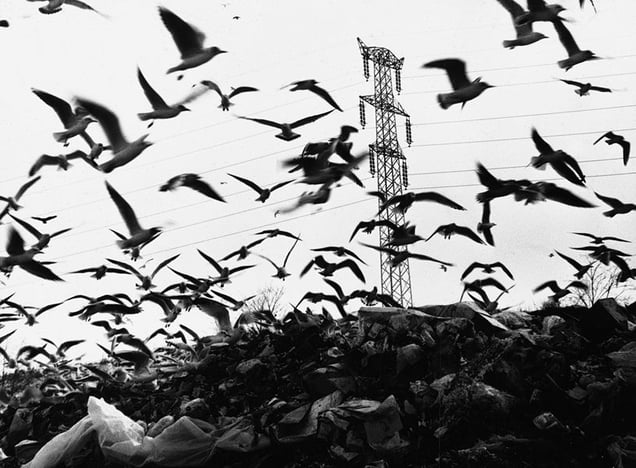Budapest, 1990 © Judit M. Horvath
