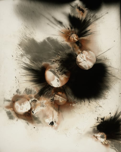 Untitled Work of Fire 20x16 Unique gunpowder generated gelatin silver print.