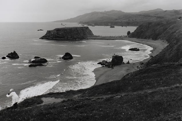 Sonoma Coast