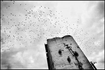 The Edge of Civilization - Photographs by Eddy van Wessel