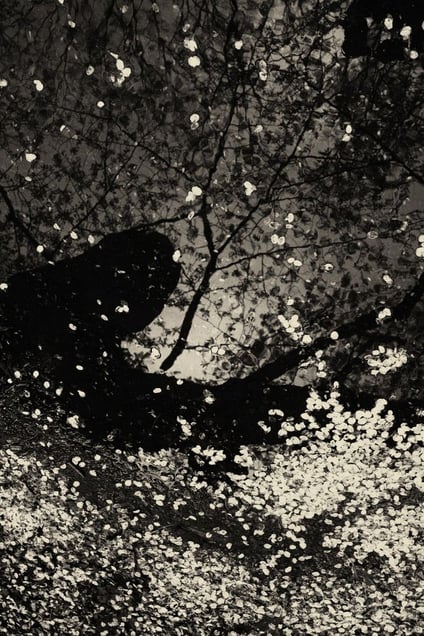 © Albarrán Cabrera