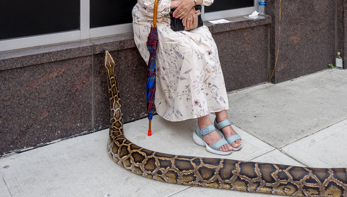 Oh, Hello, Coney Island, NYC 2024