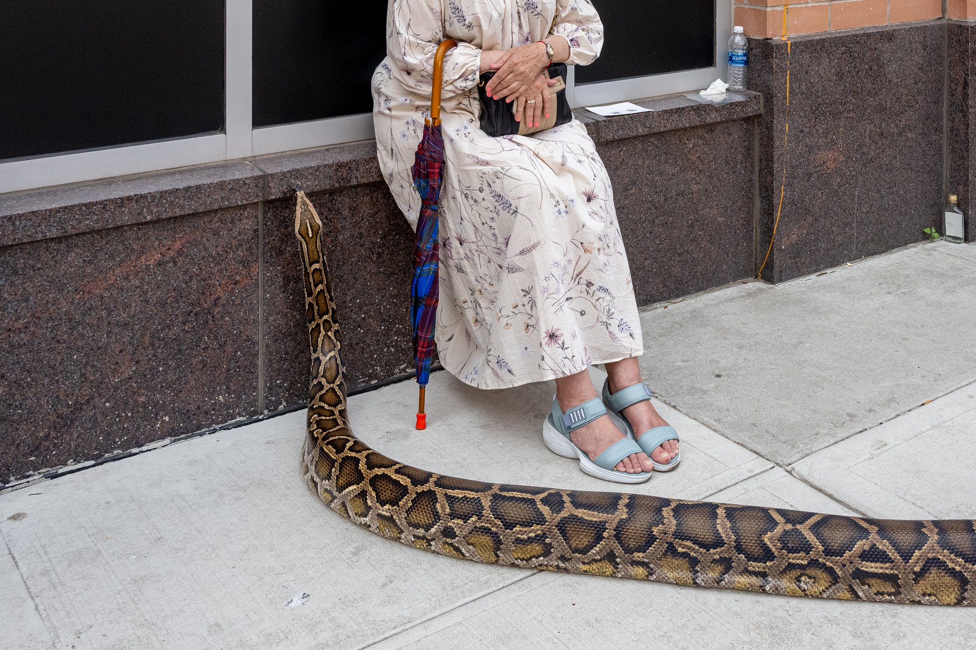 Candid Street Photography