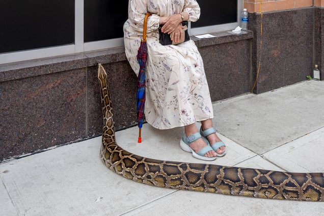 Oh, Hello, Coney Island, NYC 2024