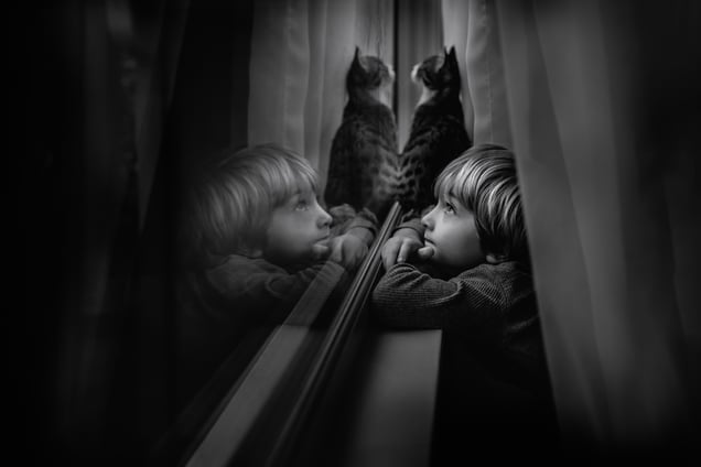 Bird Watchers