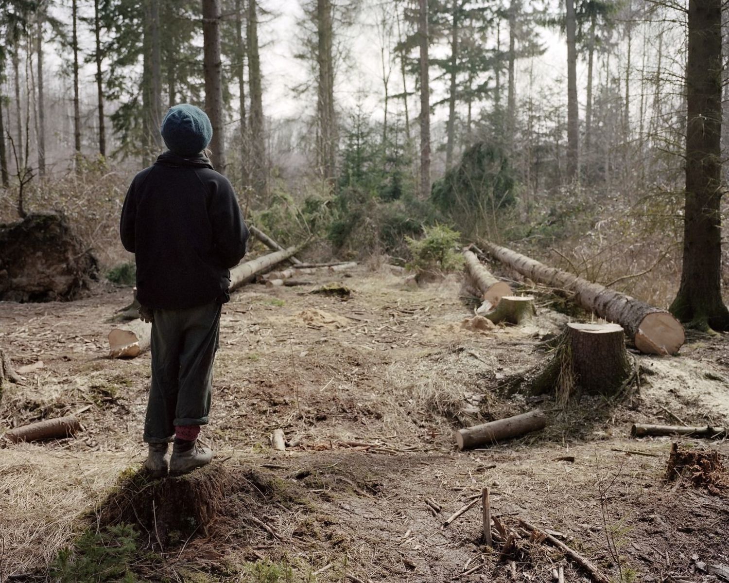 BEYOND THE FOREST