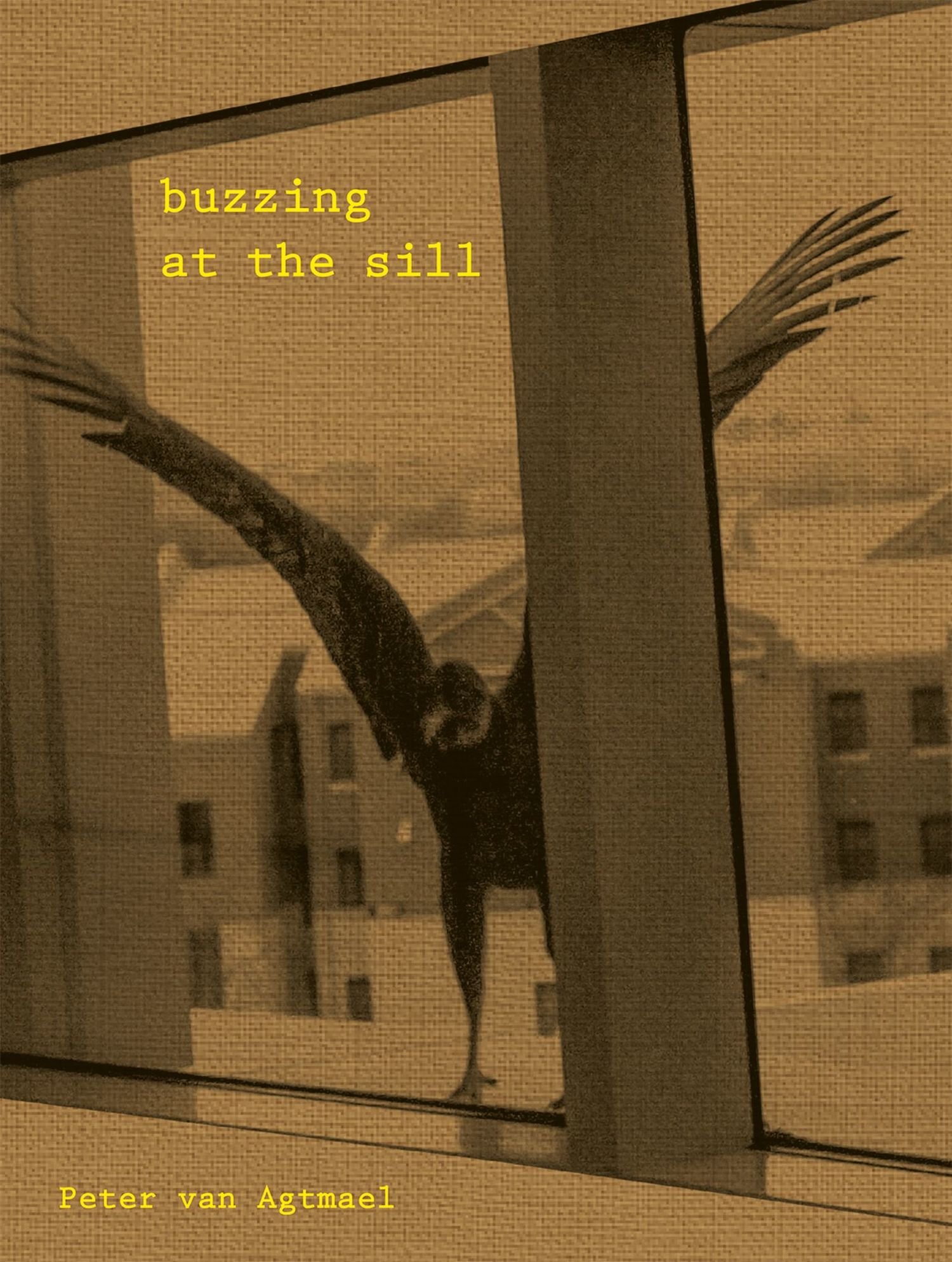 アート・デザイン・音楽 Buzzing at the Sill / Peter Van Agtmael Peter van Agtmael: Buzzing at the sill (SIGNED), Kehrer