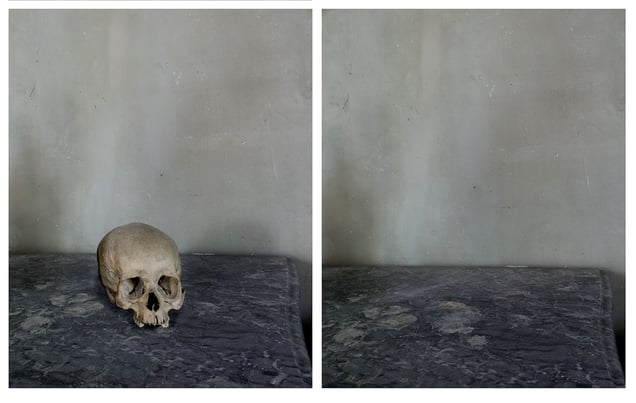 Skull, from "Cezanne’s Objects," 2013 © Joel Meyerowitz. From the book "Where I Find Myself." Published by Laurence King.