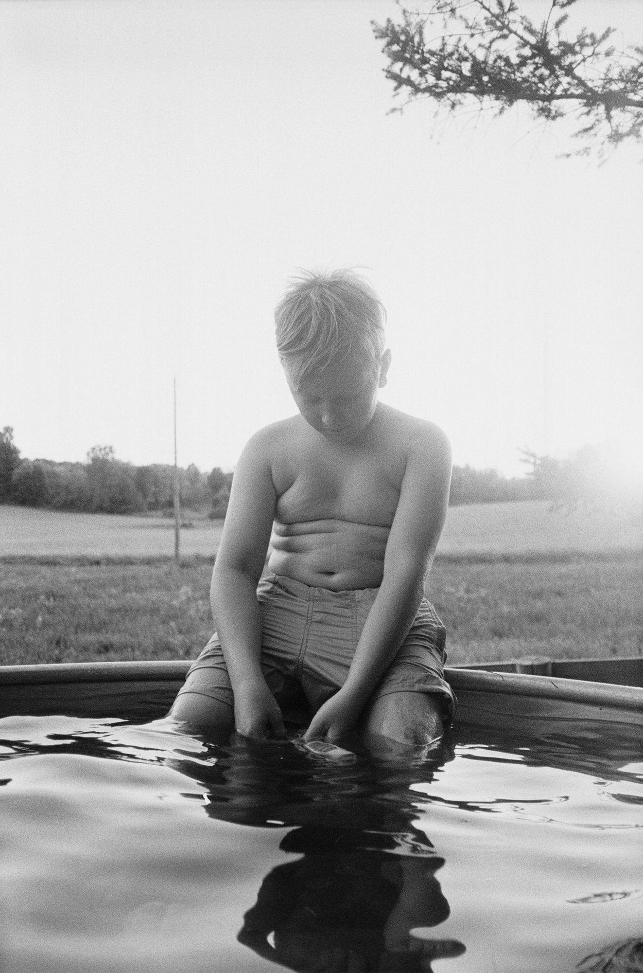 洋書 Jesse Lenz the seraphim The Seraphim - Photographs by Jesse Lenz | Book review by