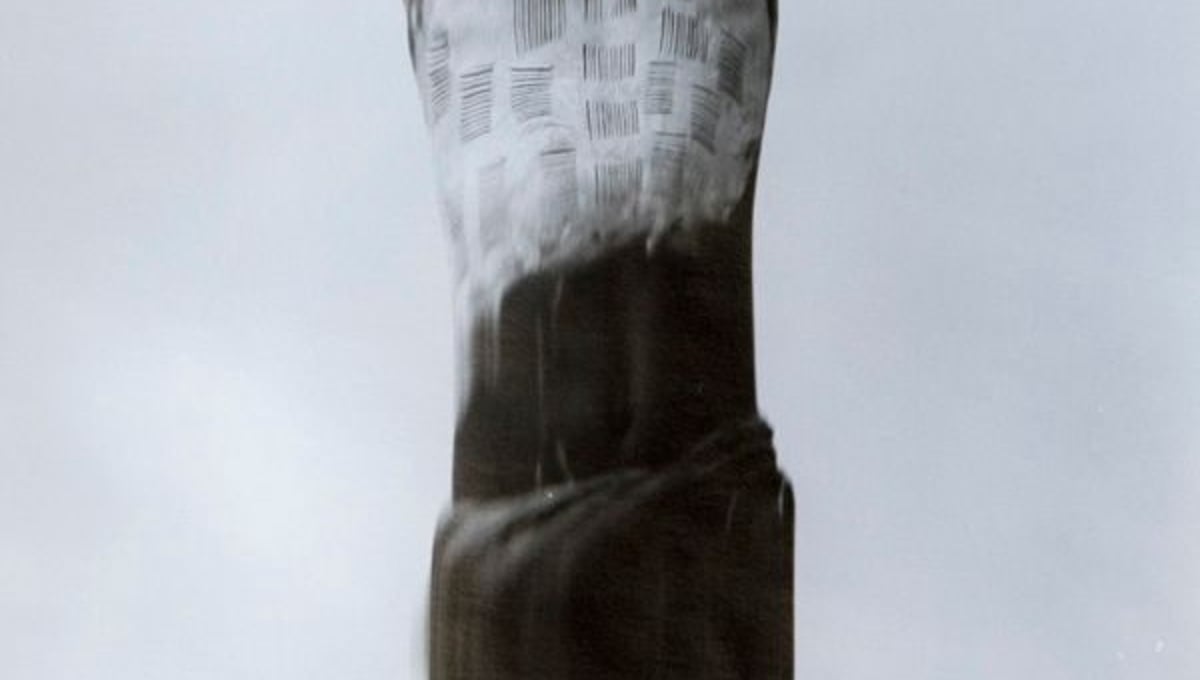 Animus #2
© Elisabeth Sunday