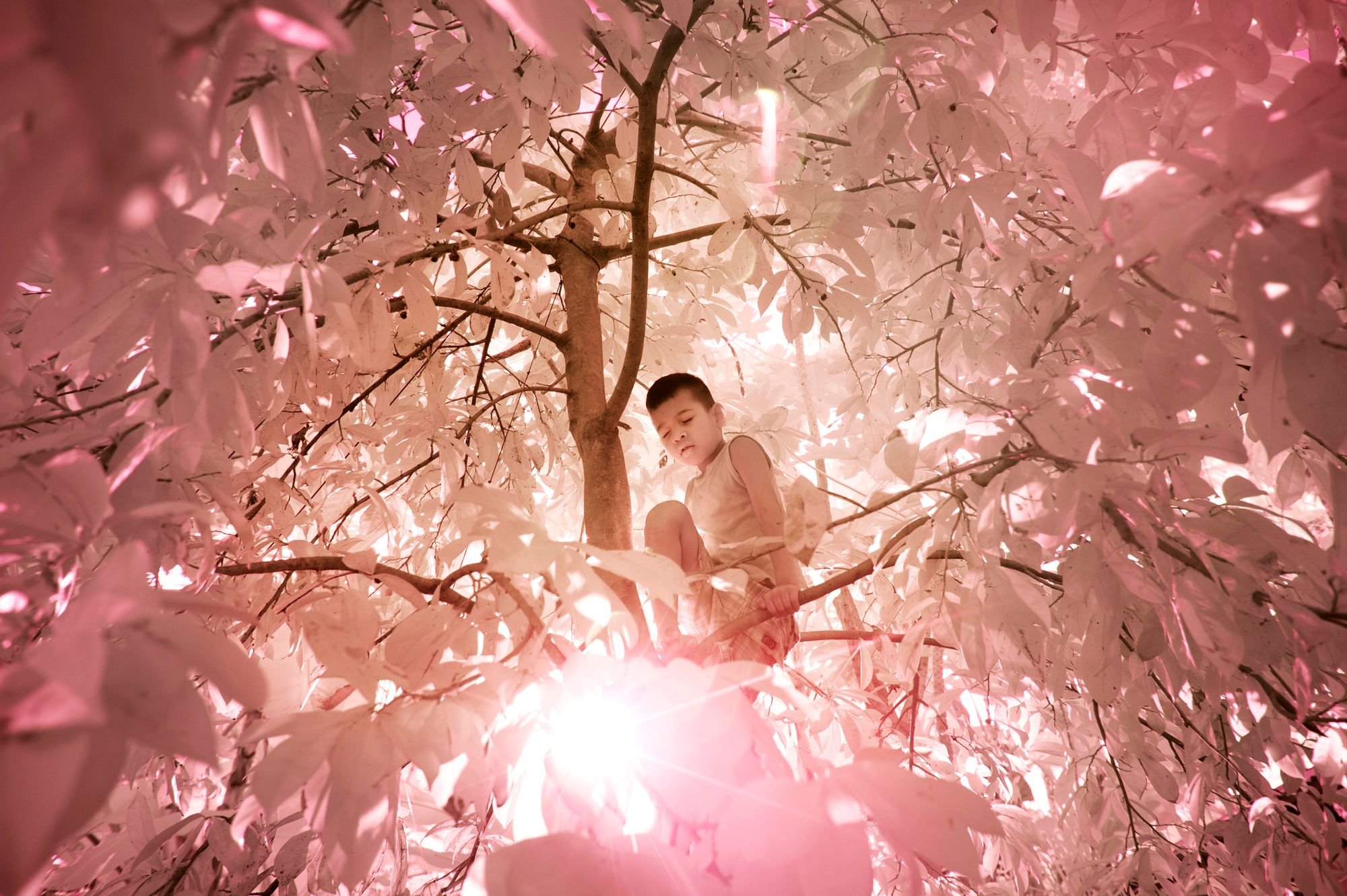 世界一点物写真　SCANDAL No.65 Visiting “The Island of the Colorblind” - Video interview with