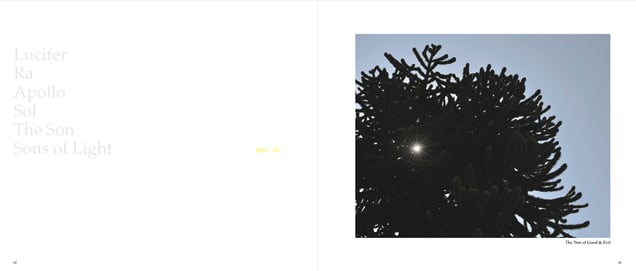 Tree of good & evil
