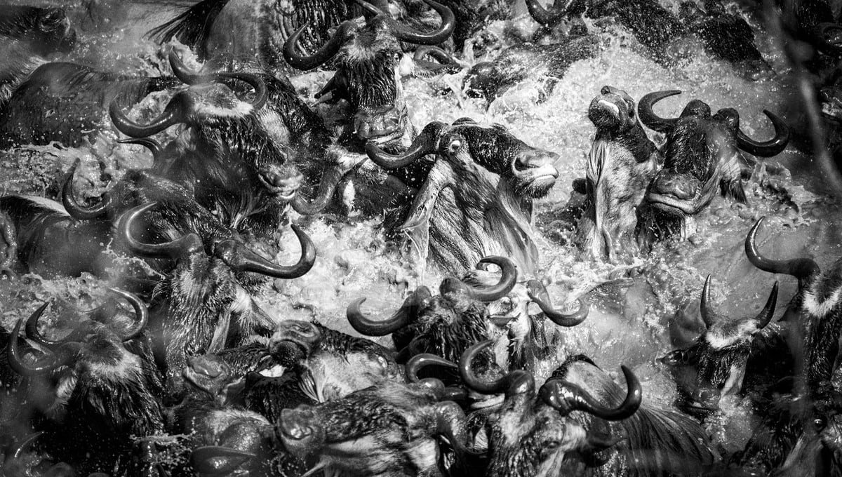 Dantes Inferno