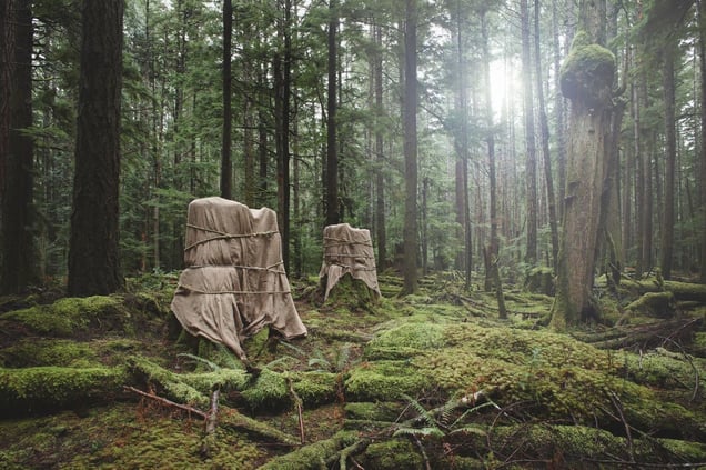 Installation 7, Untitled