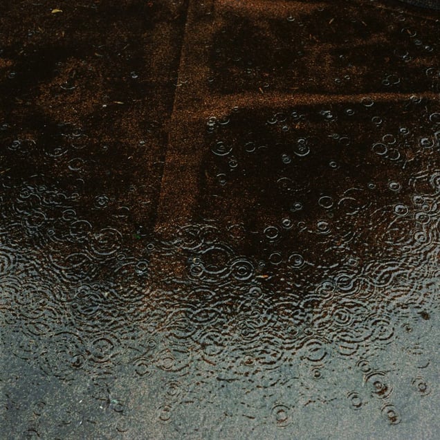 Rain #2, from the series Still Here © Lydia Goldblatt