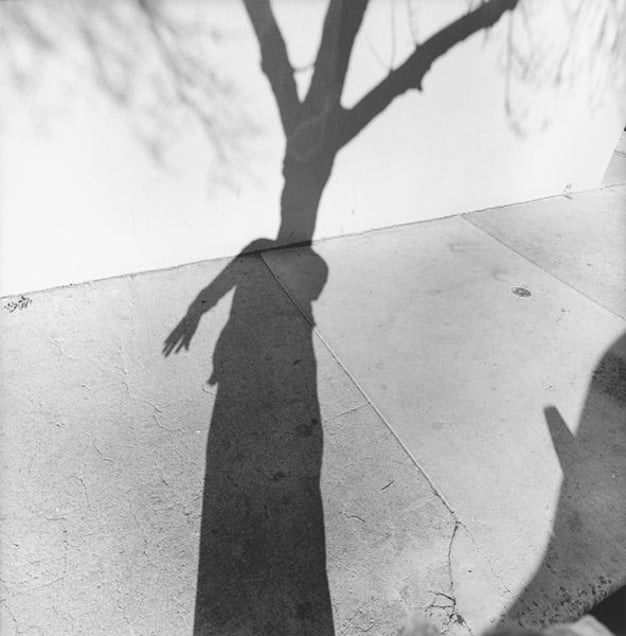 Santa Fe, 2008 © Lee Friedlander, from the book, In the Picture Self Portraits 1958-2011.