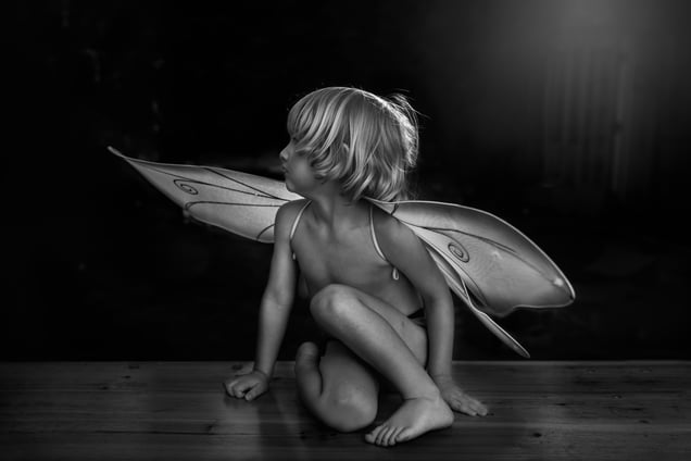 Backlit Wings