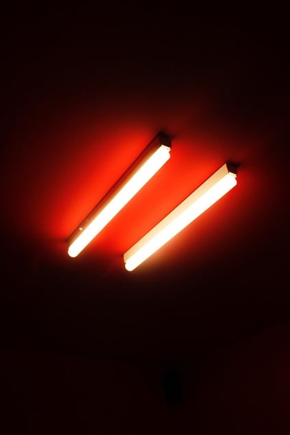© Kippo (Yoshinori) Mizutani
