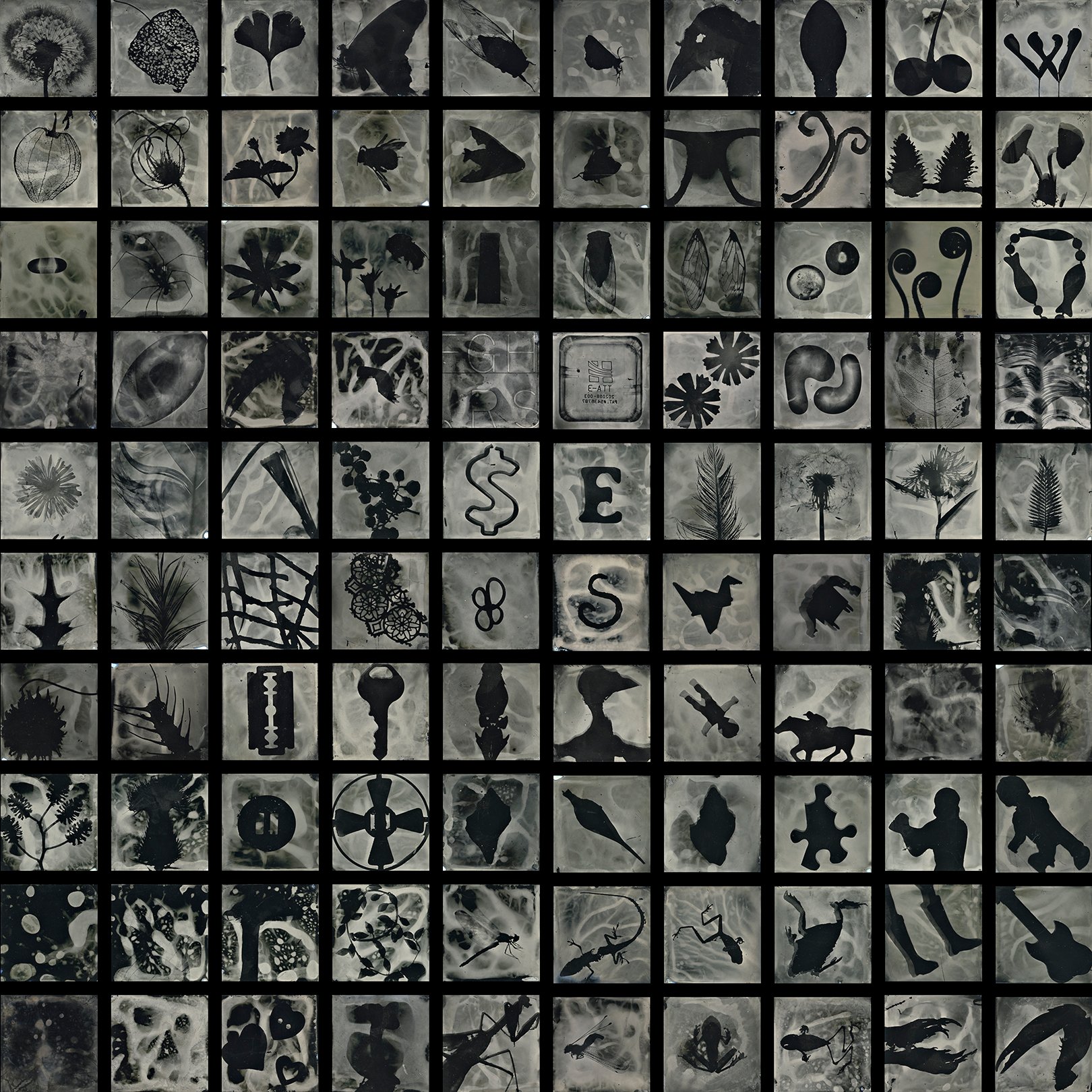 Calligraphy