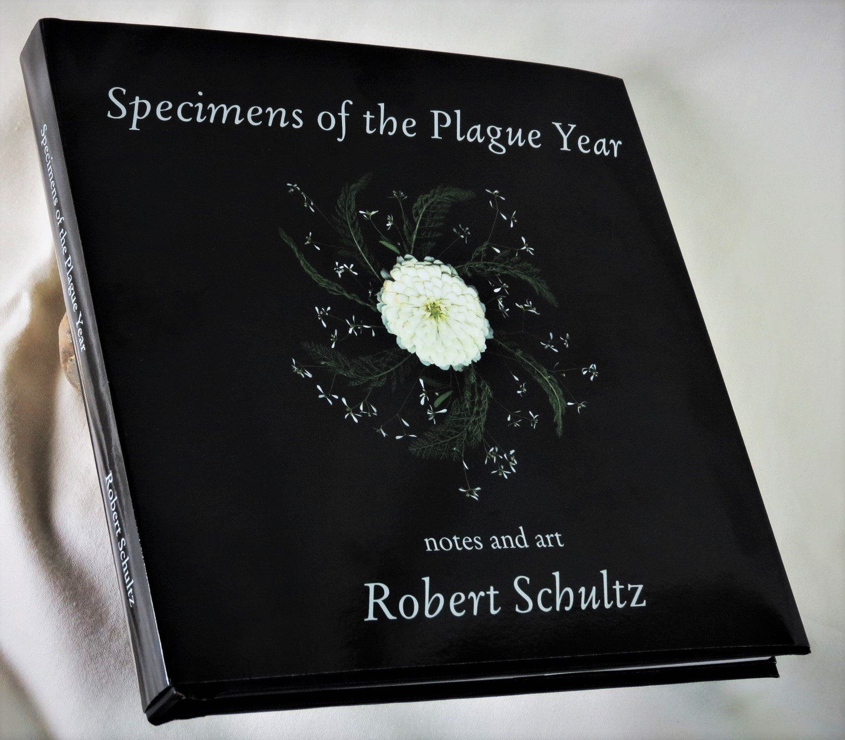 Specimens of the Plague Year