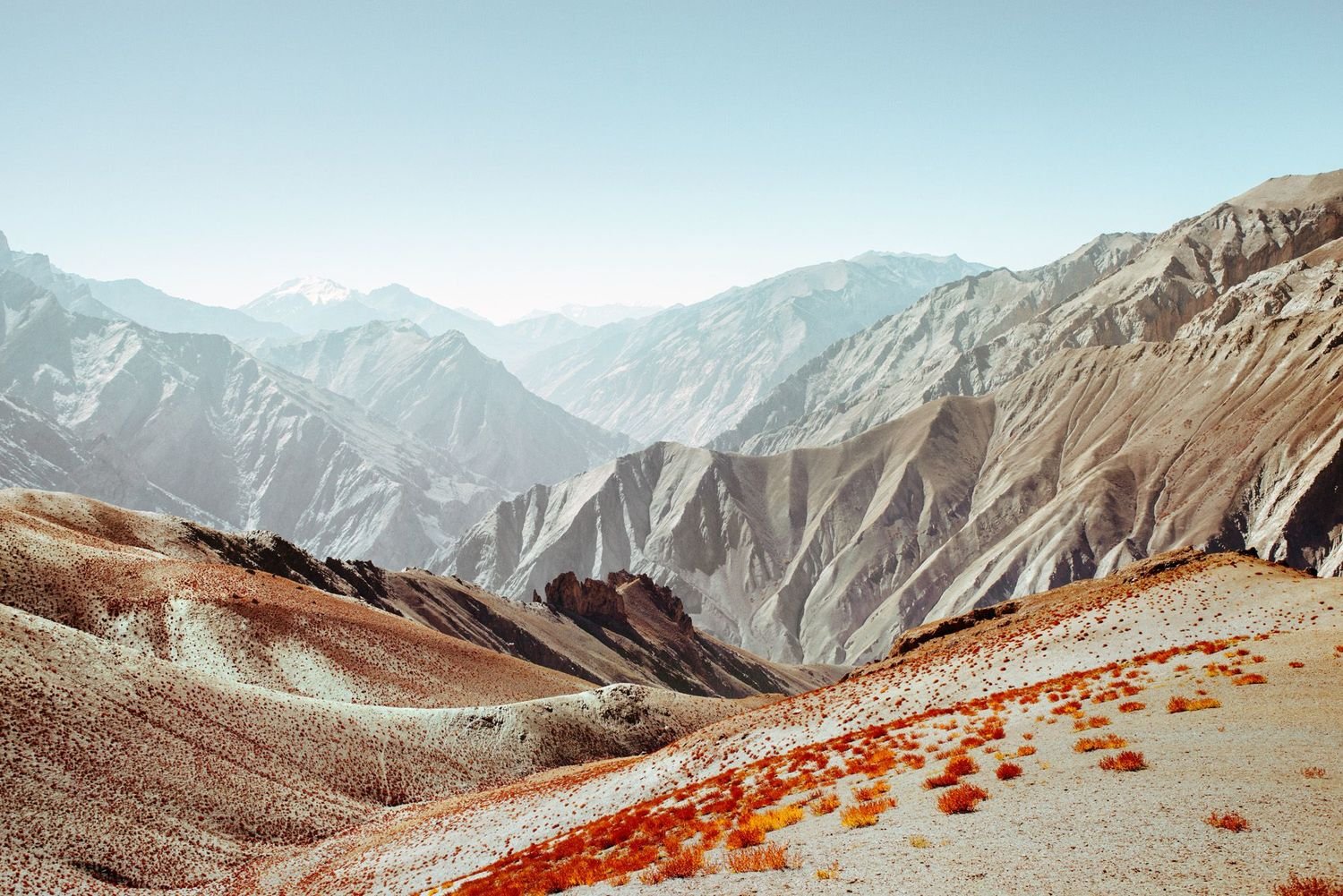 Submission: Children of Zanskar