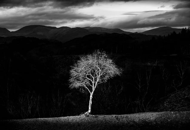The Sublime landscape.