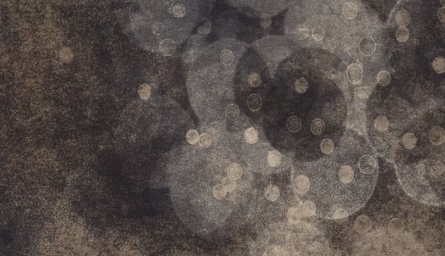 Detail at full size © Thomas Brummett