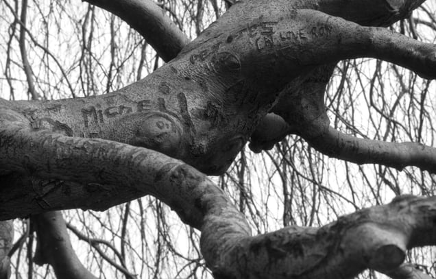 Straddle Through Time