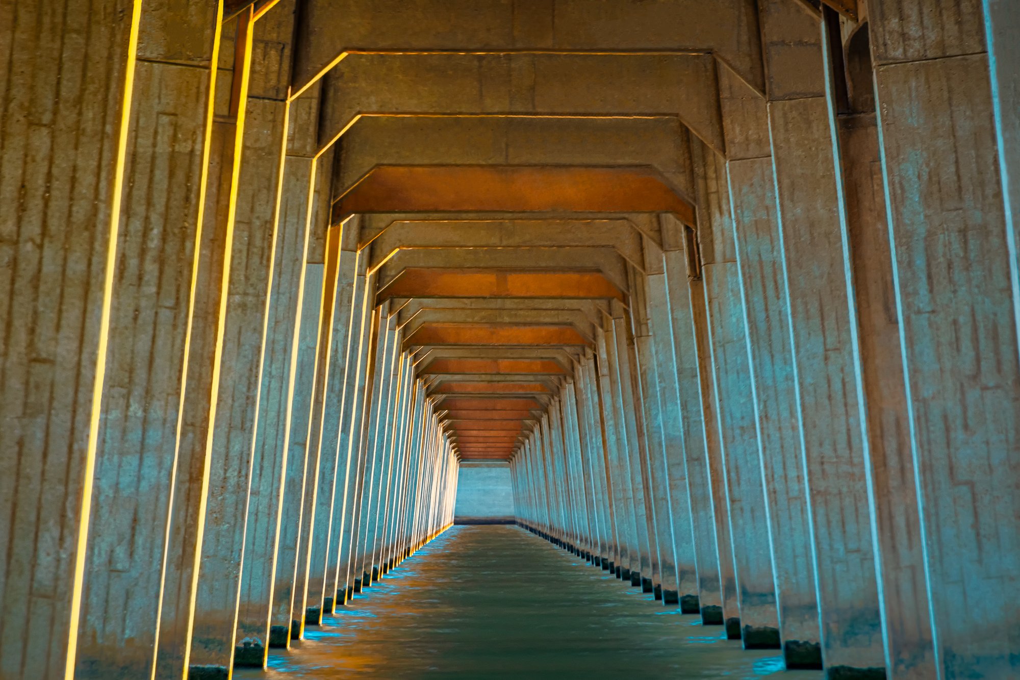 The 'Nature' of Bridges: The Dreams of a Bridge