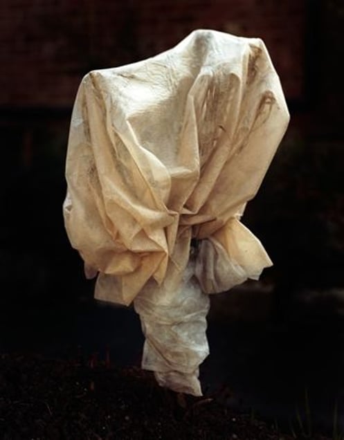 From the series Covered, 2009 © Peter Ainsworth