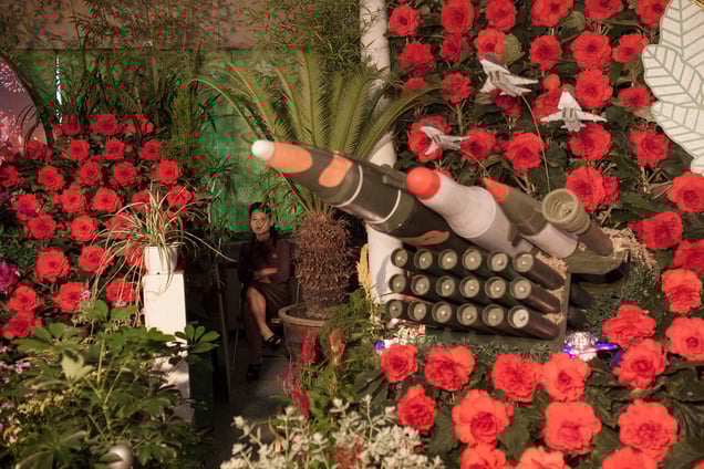 A woman sits next to models of military weapons at a festival for the"Kimilsungia" and "Kimjongilia" flowers, named after the country's late leaders, inPyongyang, North Korea, 24 July 2013.