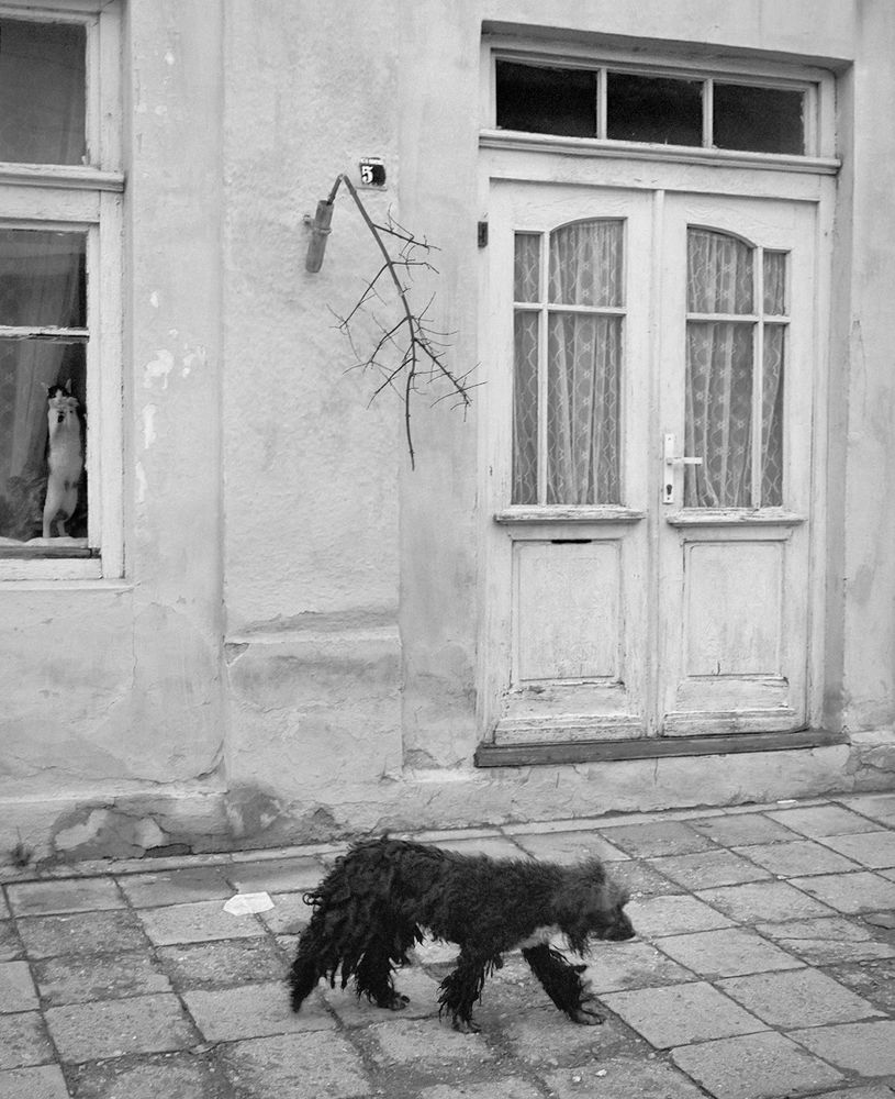 PENTTI SAMMALLAHTI 写真集 PENTTI SAMMALLAHTI 写真集 - メルカリ