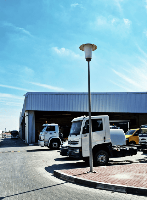 Freedom and Guilt, XXVIII